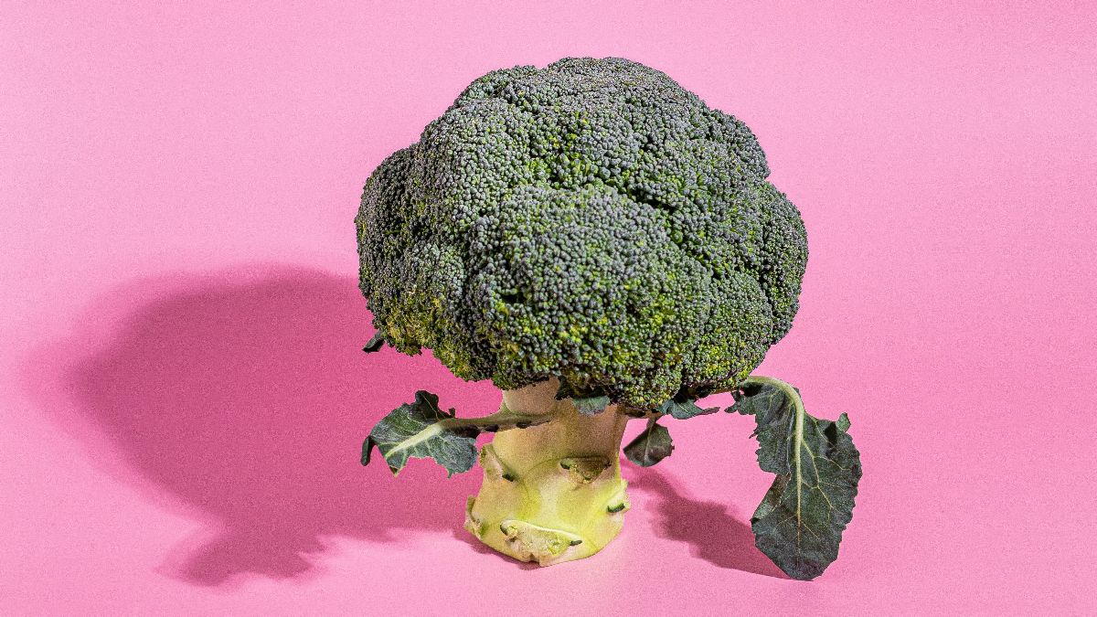 Brokkoli auf pinkem Hintergrund als Symbol für Ernährung, Östrogenstoffwechsel und PCOS