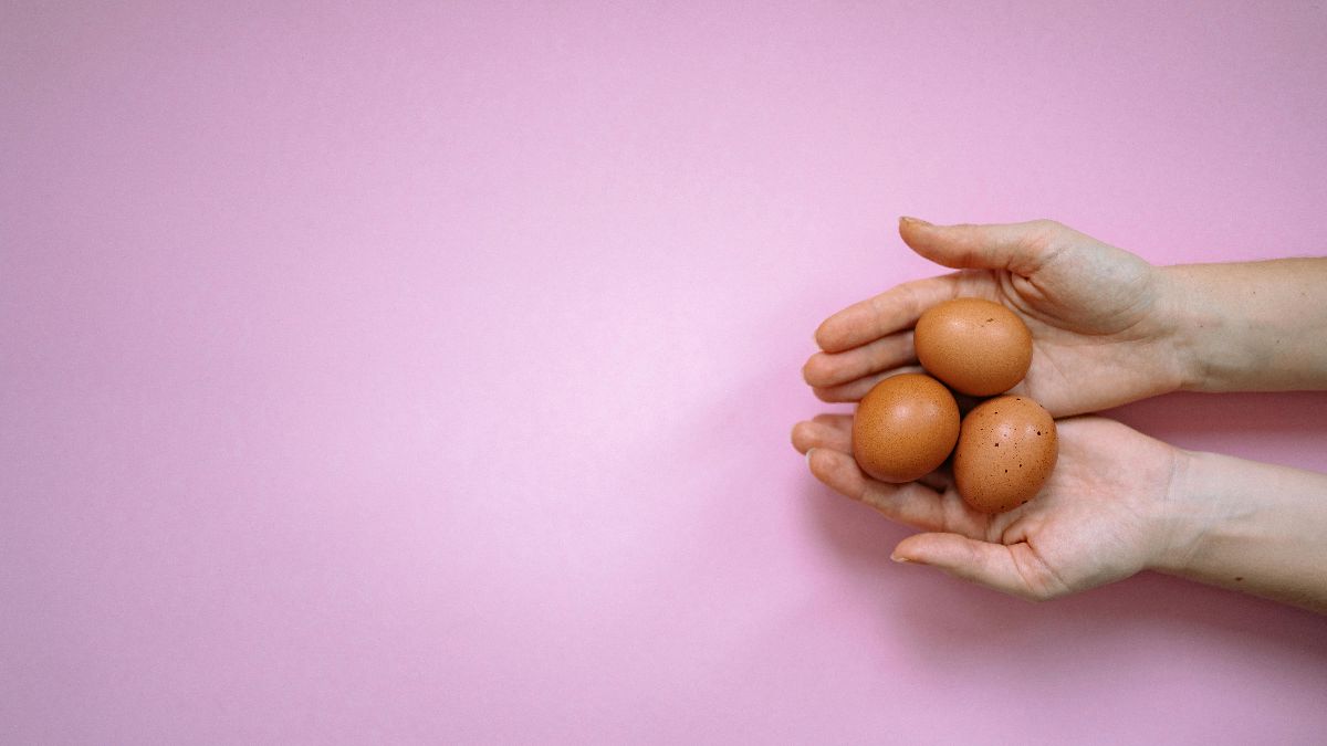Hände halten drei Eier als Symbol für Eizellspende, Fruchtbarkeit und Kinderwunschbehandlung