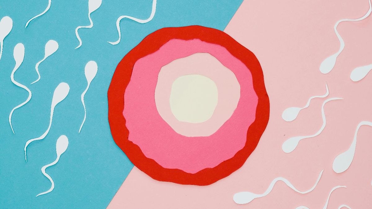 Symbolische Eizelle und Spermien als Bild für Kinderwunschbehandlungen wie IUI, IVF und ICSI