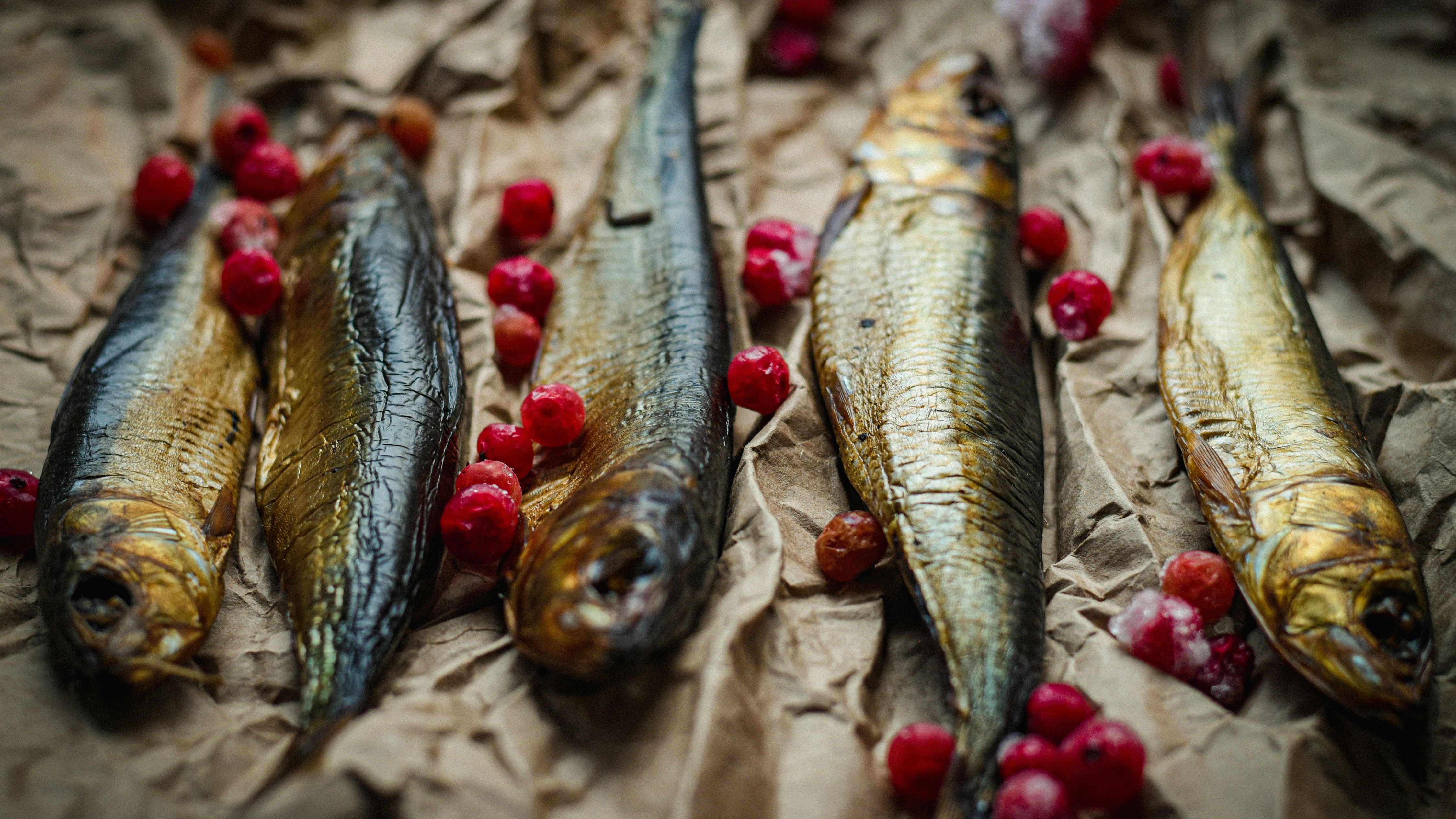 Mehrere Heringe oder Sardinen liegen auf Backpapier, dazwischen rote Beeren - ein Bild für omega-3-reiche Fische im Kinderwunsch.