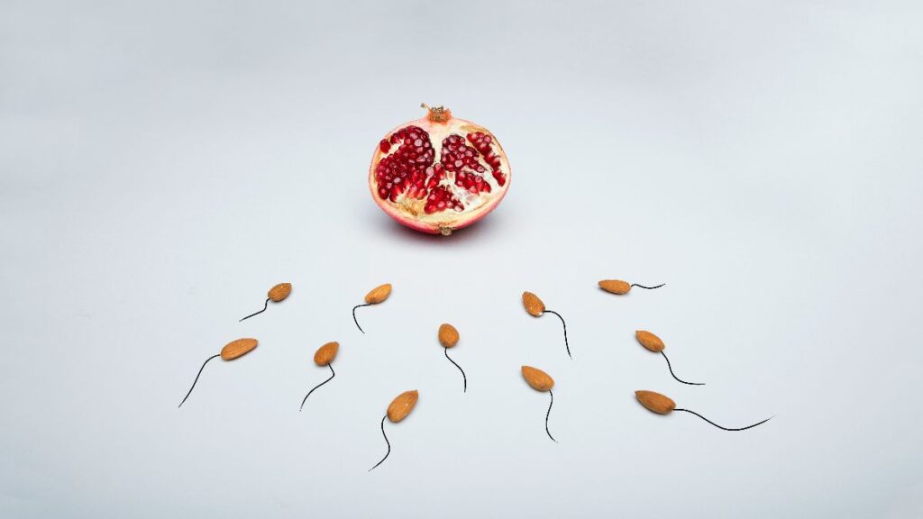 Granatapfel und mandelartige Spermien als symbolisches Bild für PCOS, IVF, Eizellen und Befruchtung