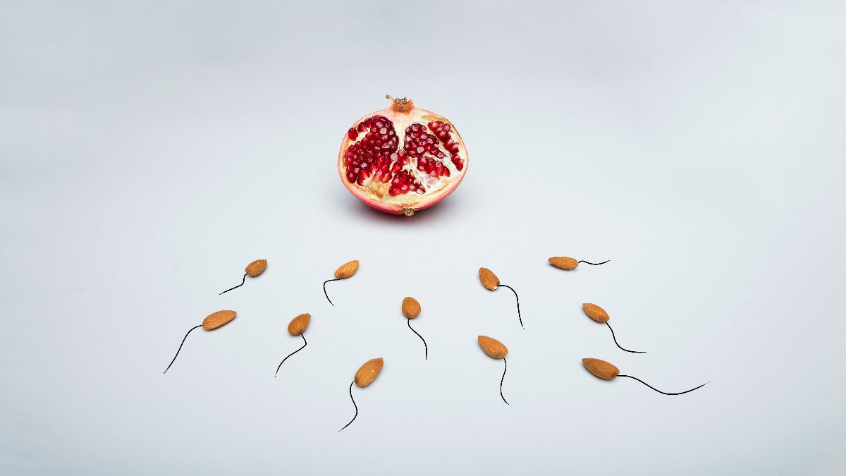 Granatapfel und mandelartige Spermien als symbolisches Bild für PCOS, IVF, Eizellen und Befruchtung