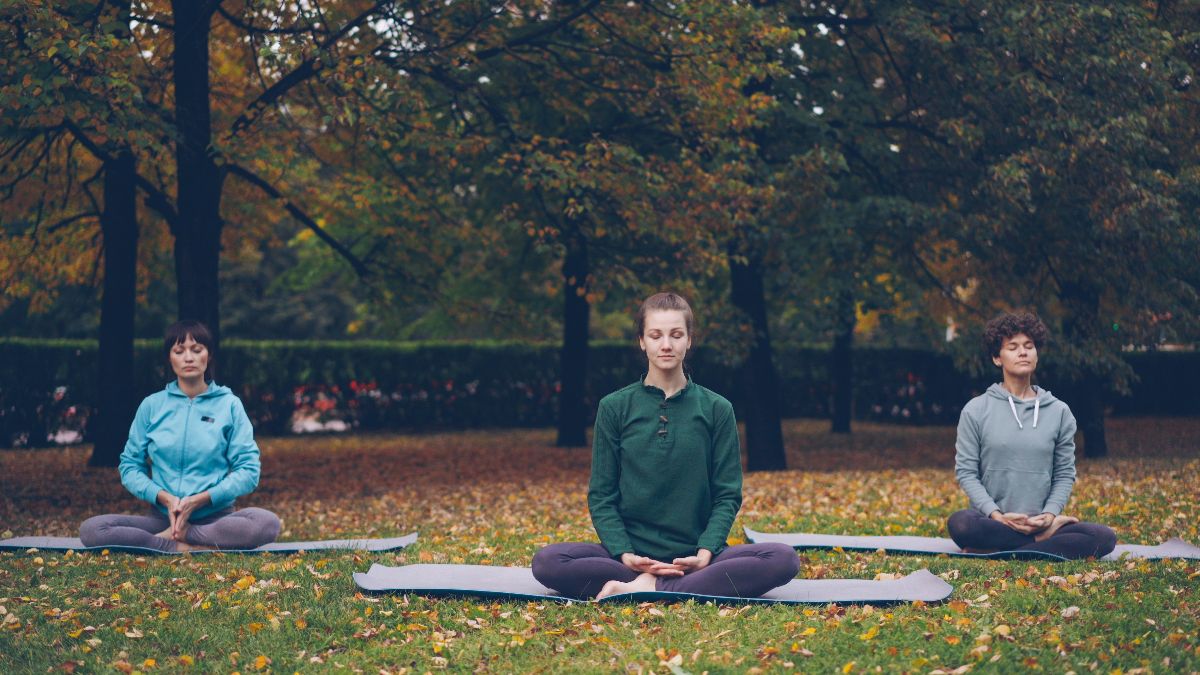 Frauen meditieren im Park als Symbol für psychische Gesundheit, Resilienz und Stressbewältigung beim Kinderwunsch