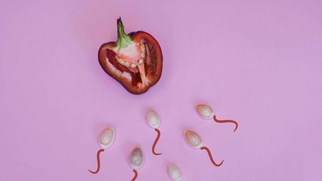 Symbolische Darstellung von Spermien und Eizelle auf rosa Hintergrund als Bild für Spermienbeweglichkeit, Motilität und männliche Fruchtbarkeit