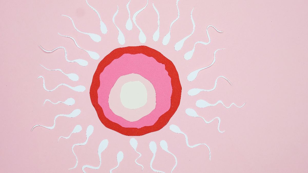 Symbolische Eizelle mit Spermien auf rosa Hintergrund als Bild für Spermienqualität, Befruchtung und männliche Fruchtbarkeit beim Kinderwunsch
