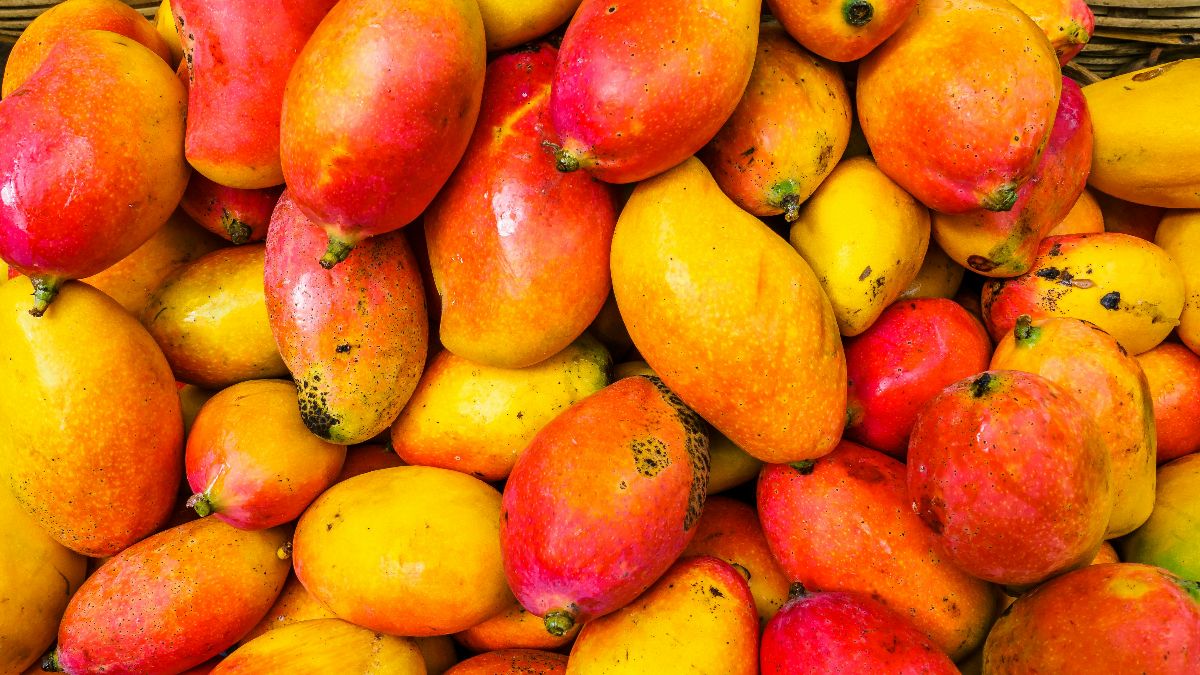 Reife Mangos – Warum Mango bei PCOS und Insulinresistenz beim Kinderwunsch helfen kann