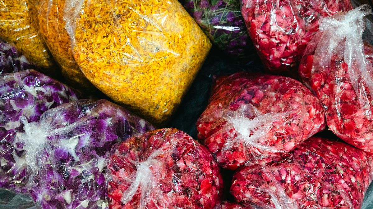Bunte Tiefkühlgemüse in Plastikbeuteln – schockgefrostet für maximalen Vitaminerhalt beim Kinderwunsch