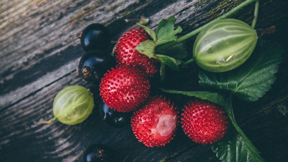 Wilde Beeren auf rustikalem Holz – Waldheidelbeeren, Erdbeeren und Stachelbeeren als natürliche Antioxidantien für die Eizellqualität beim Kinderwunsch